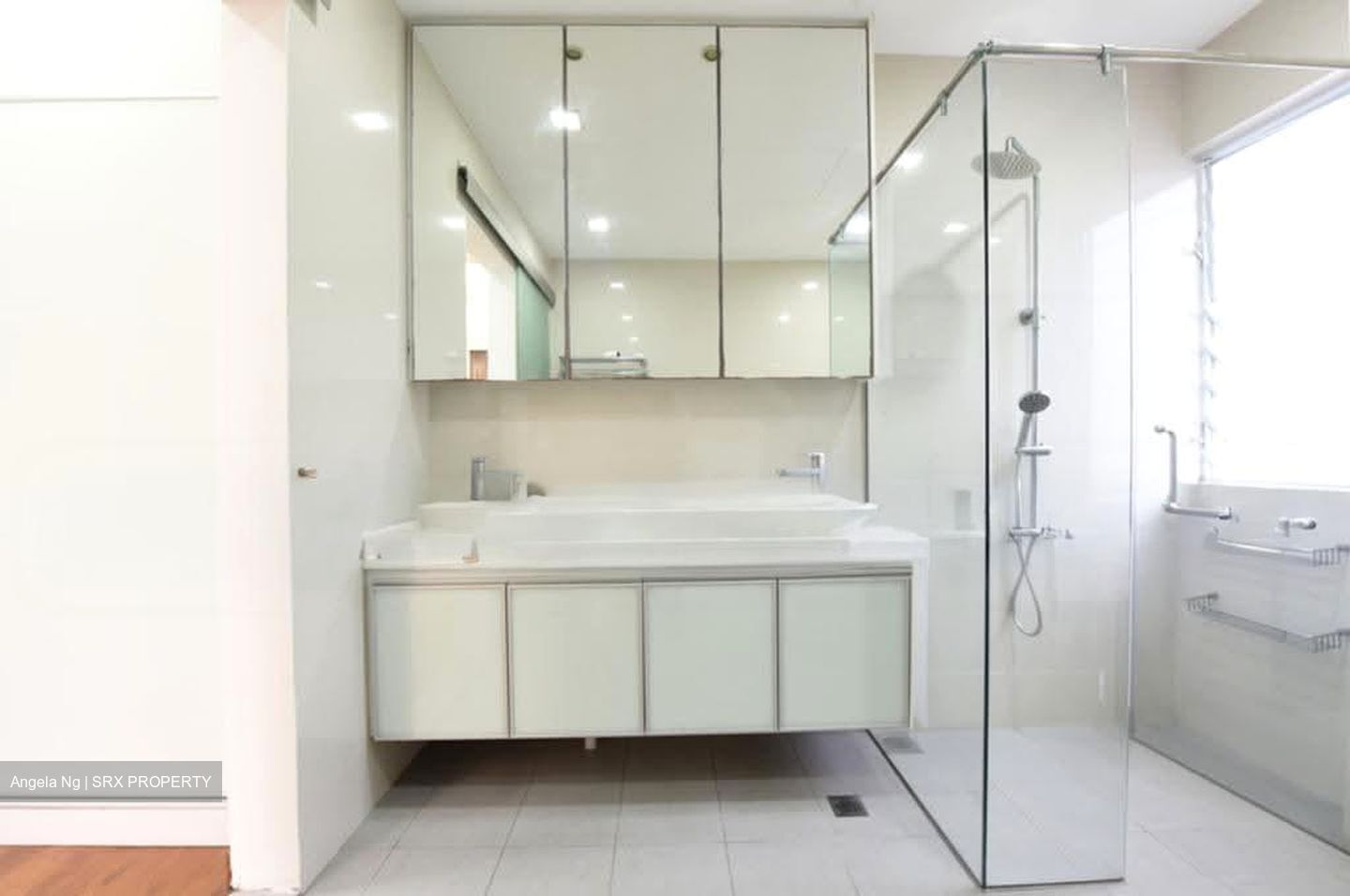 Regency Park (D10), Condominium #621680811